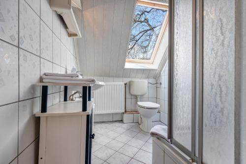 LassanFerienwohnung Grams的一间带卫生间、水槽和窗户的浴室