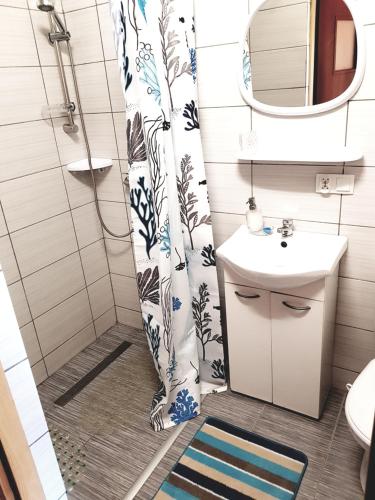 萨比诺瓦domki letniskowe "U EWKI"的浴室配有淋浴帘和盥洗盆。
