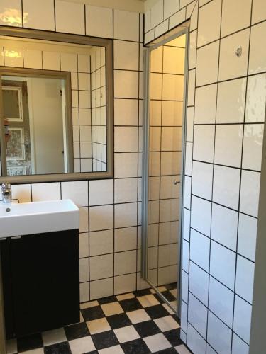埃格尔松Ellingsens Apartment Egersund的一间带水槽和镜子的浴室