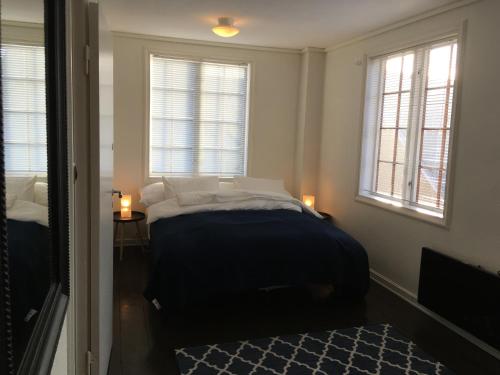 埃格尔松Ellingsens Apartment Egersund的一间卧室配有床、两个窗户和蓝色地毯