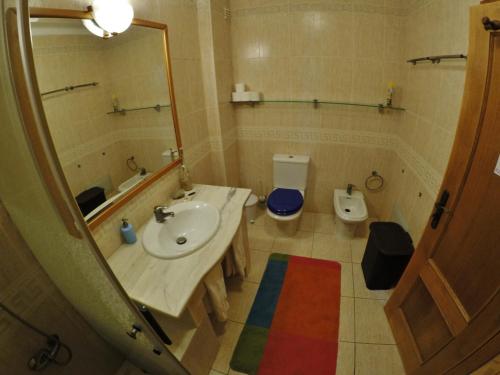 佩尼契Supertubos Beach Hostel的一间带水槽、卫生间和镜子的浴室