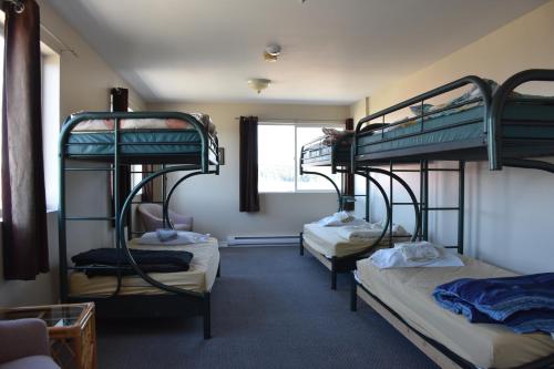特雷尔北海岸背包客青年旅馆客房内的一张或多张双层床