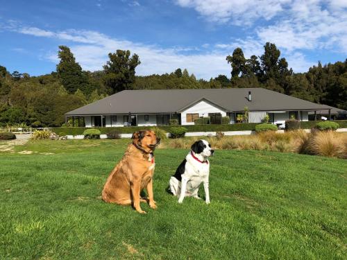 莫阿纳Lake Brunner Longhouse的两只狗坐在房子前面的草地上