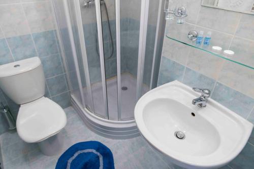 普日布拉姆Hotel Belvedere Příbram的带淋浴、卫生间和盥洗盆的浴室