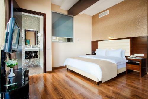 第比利斯Hotel Orion Tbilisi的配有一张床和一台平面电视的酒店客房