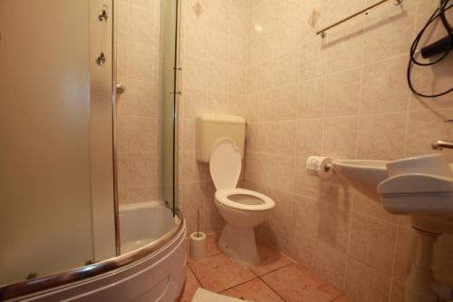 巴斯卡Pension Antonia的浴室配有卫生间、盥洗盆和淋浴。