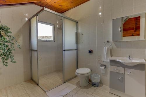 新彼得罗波利斯Pousada Tio Mica的带淋浴、卫生间和盥洗盆的浴室