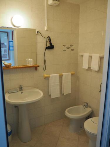 阿伦扎诺hotel albatros的一间带水槽和卫生间的浴室