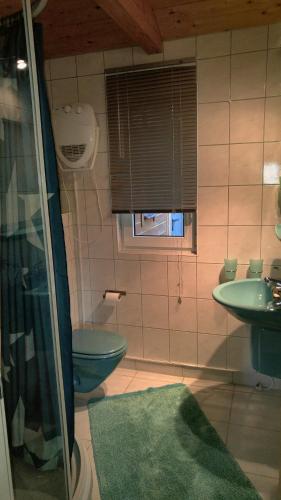 文迪施里茨Ferienhaus Eschenallee的一间带水槽和卫生间的浴室以及窗户。