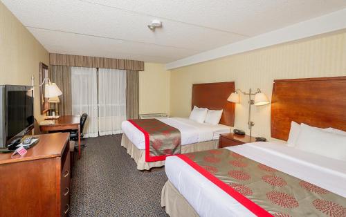 尼亚加拉瀑布汉普顿尼亚加拉大瀑布/北瀑布酒店的酒店客房配有两张床和一张书桌