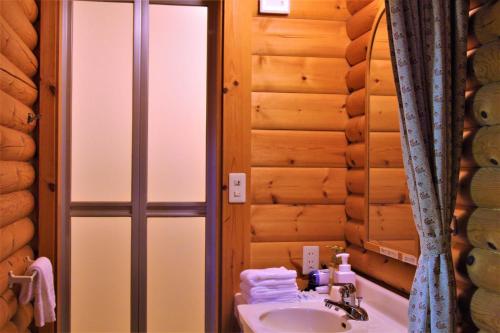 饭能市Shomarutoge Garden House的小木屋内的浴室设有水槽和淋浴