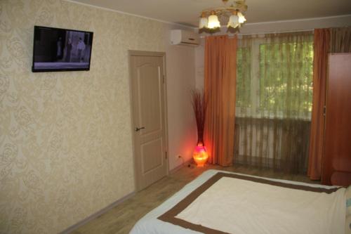 哈尔科夫Современная 1-комнатная квартира的卧室配有一张床,墙上配有电视