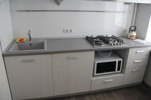 哈尔科夫Современная 1-комнатная квартира的厨房配有炉灶、水槽和微波炉