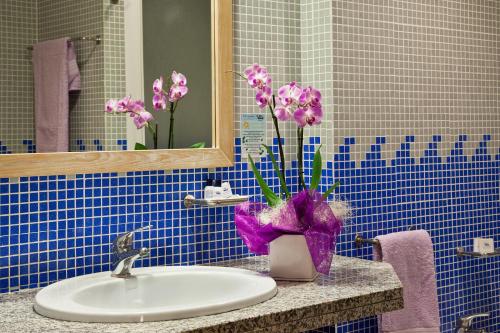 托雷斯港利比索尼诗酒店的浴室设有水槽和花卉花瓶。