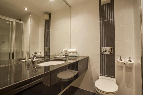 戈尔韦斯格芬顿亚姆斯酒店的一间带水槽、卫生间和镜子的浴室