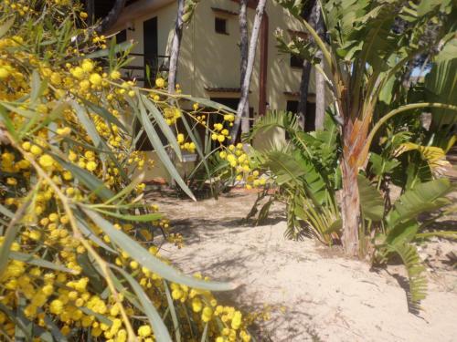 Acacia sul mare平面图