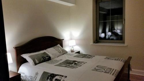 科克Apartment 2 Oakleigh House的卧室内的一张床位,配有镜子和一张四柱床