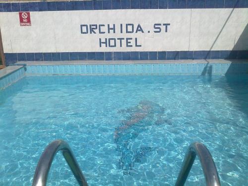 阿斯旺兰花圣乔治酒店的水中养有乌龟的游泳池