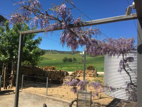 乳牛场小屋住宿加早餐旅馆外面的花园