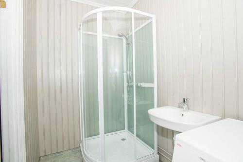 NesVrangfoss Sluse的一间带玻璃淋浴和水槽的浴室