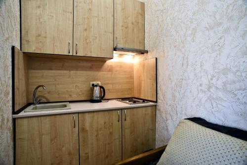 敖德萨Logovo Hostel的一个带木制橱柜和水槽的小厨房