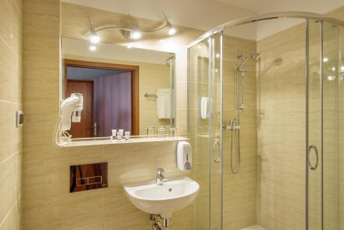 克拉科夫克拉库斯酒店的一间带水槽和玻璃淋浴的浴室