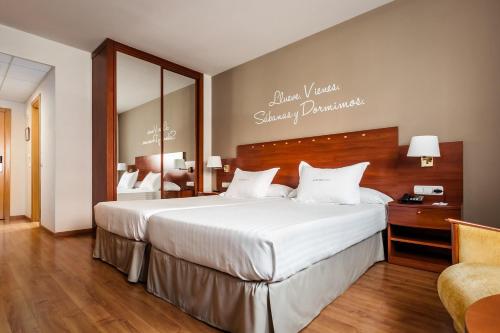 阿尔么丽亚阿维尼达酒店的一间卧室配有一张大床和镜子