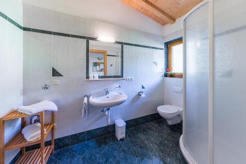 卢松Pardellerhof Ferienhaus的一间带水槽、卫生间和淋浴的浴室