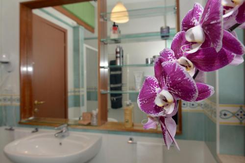 马奥莱科索里贾纳蹄子公寓的浴室设有水槽,在柜台上种植紫色鲜花