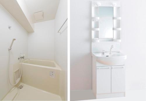 浦安尼斯市川东京湾酒店的一间带水槽、卫生间和镜子的浴室