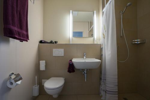 阿尔特施泰滕wohnMOTEL - Hinterforst的浴室配有卫生间、盥洗盆和淋浴。
