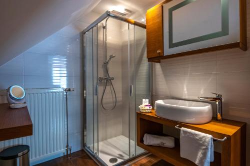 维斯普雷姆贝特基茨疗养酒店的一间带玻璃淋浴和水槽的浴室