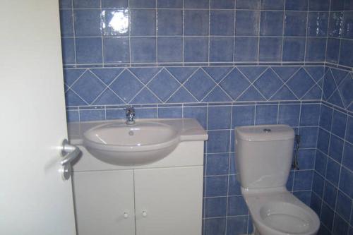 维琪奥港VILLA LES NACRES A 400 MT DAL MARE的蓝色瓷砖浴室设有水槽和卫生间