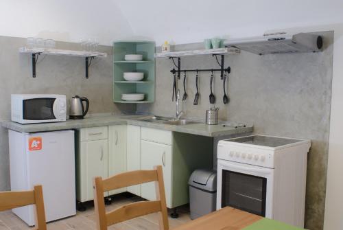利托梅日采Jüstel apartment的一间带炉灶和微波炉的小厨房