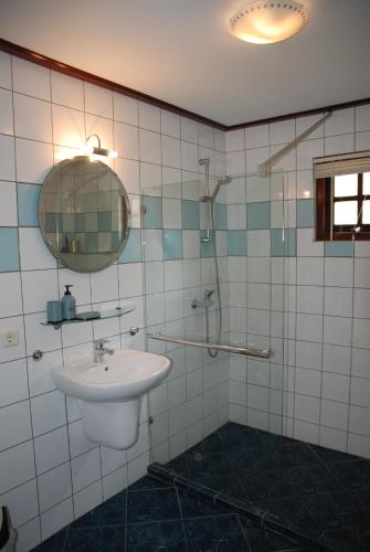 威廉斯塔德米洛德公寓的一间带水槽、淋浴和镜子的浴室