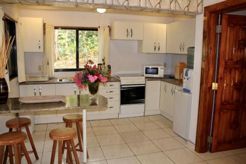 拉塞瓦皮科波尼山林小屋的厨房配有白色橱柜和带凳子的台面