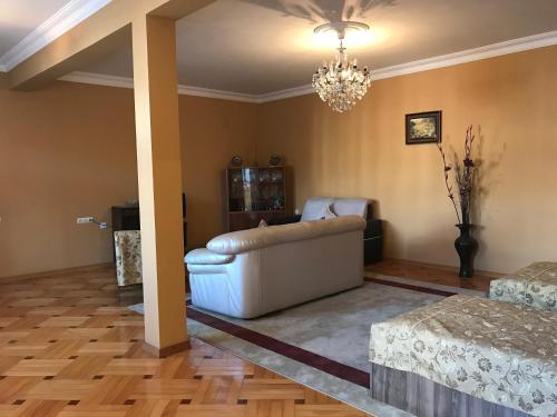 巴统Guest House kartvelishvili的带沙发和吊灯的客厅