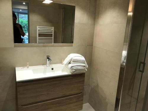 维琪奥港蝉公寓酒店的一间带水槽、镜子和淋浴的浴室