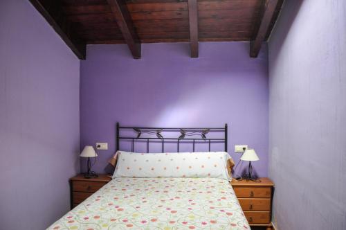 兰德特Las Casitas de los Mata的一间卧室配有一张紫色墙壁的床