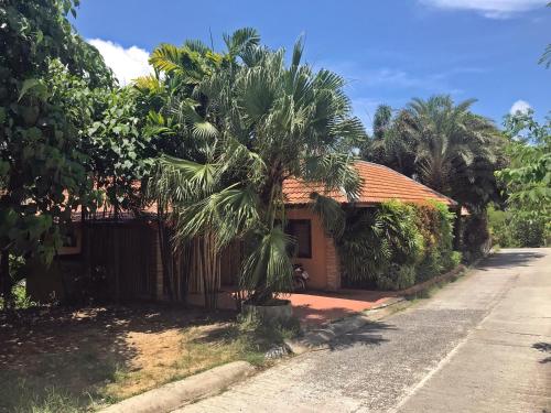 班阁库安Tropical Hillside Villa的街道旁的棕榈树房子