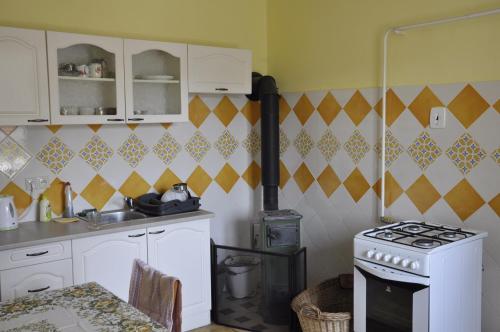 特伦钦Lately renovated country house的厨房配有炉灶和炉灶。 顶部烤箱