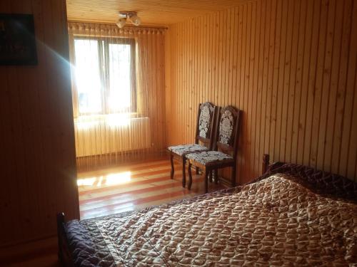 韦尔霍维纳Zatushok pid goroyu的一间卧室配有两把椅子、一张床和窗户