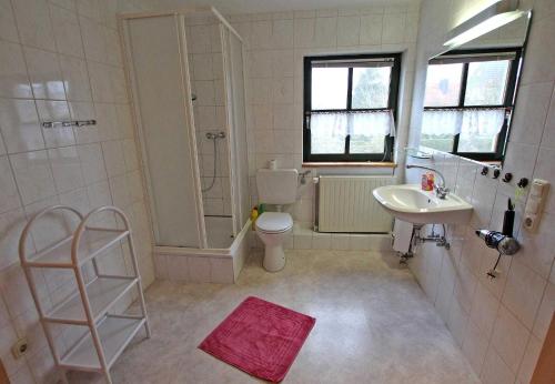 巴特Ferienwohnung Barth VORP 431的一间带水槽、卫生间和淋浴的浴室