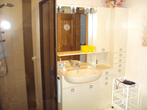DantaLa casa di Beppe appartamento的一间带水槽和淋浴的浴室