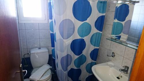 斯达林Christakis的一间带卫生间和水槽的浴室