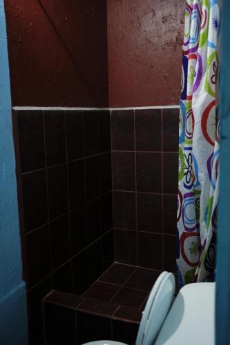 圣何塞埃斯特圣达菲旅馆的一间带卫生间和淋浴帘的浴室