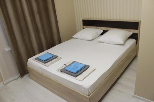 加格拉鱼家旅馆的一间卧室配有一张带两个枕头的床