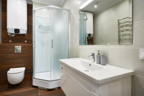基辅Apartment near Lukyanovka Square的浴室配有卫生间、盥洗盆和淋浴。