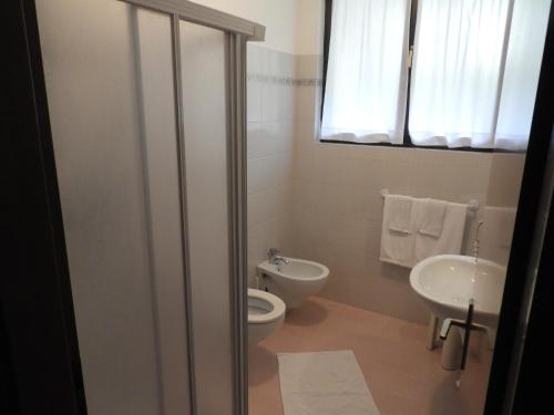 滕诺Albergo Stella Alpina的一间带卫生间和水槽的浴室