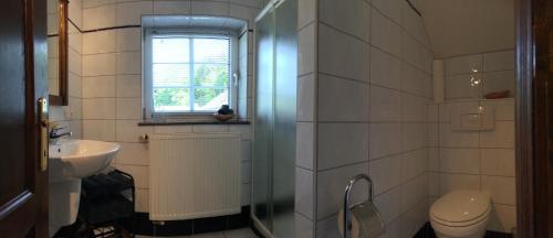 布尔格-罗伊兰德Maison Jost的带淋浴、卫生间和盥洗盆的浴室